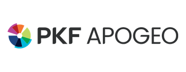 PKF Apogeo Group : 